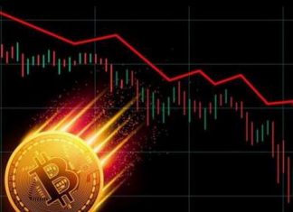 Sàn Bitcoin Vicuta là gì? Cách sử dụng sàn như thế nào? Bitcoin Vicuta