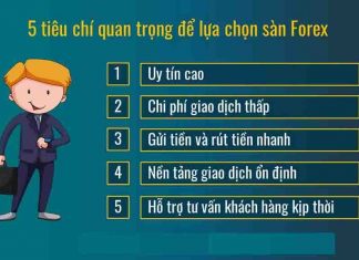 Nên chọn sàn giao dịch Forex nào? Top 5 sàn uy tín nhất