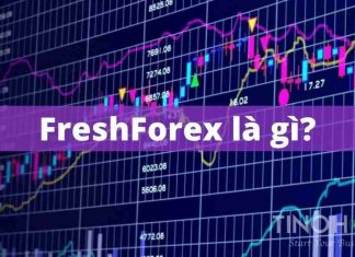 Những điều bạn cần biết trước khi đầu tư tại sàn FreshForex freshforex