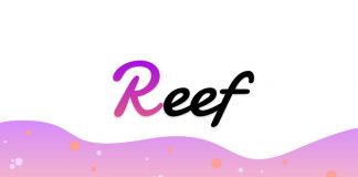 Reef là gì? Những điều cần biết khi đầu tư vào Reef Coin