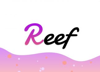 Reef là gì? Những điều cần biết khi đầu tư vào Reef Coin