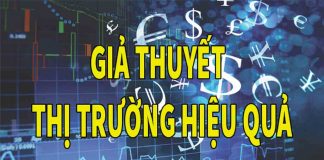 lý thuyết thị trường hiệu quả