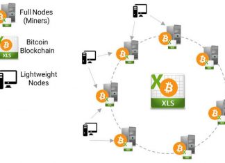 Node là gì?Node và vai trò trong mạng lưới Blockchain node