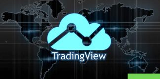 vn tradingview
