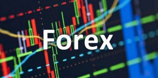 Trader forex