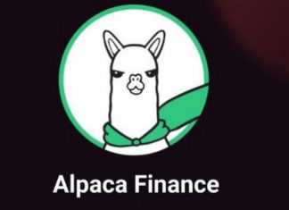 Alpaca là gì? Tìm hiểu các thông tin cơ bản về alpaca alpaca