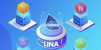 LINA Coin