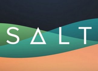 Salt Coin là gì? Và có nên đầu tư vào đồng tiền này không? Salt coin