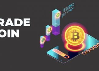 Coin Trading là gì? Những cách trading cho người mới Coin Trading