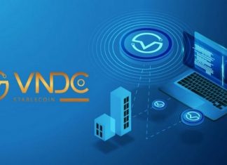 VNDC là gì