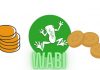 Wabi coin