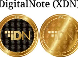 XDN coin hỗ trợ tính năng gì?