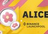 alice coin airdrop