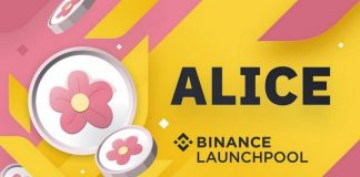 alice coin airdrop