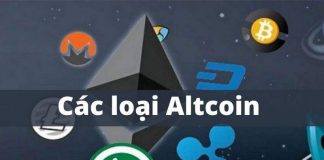 Ý nghĩa của dự án Altcoin Dominance