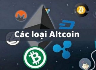 Ý nghĩa của dự án Altcoin Dominance