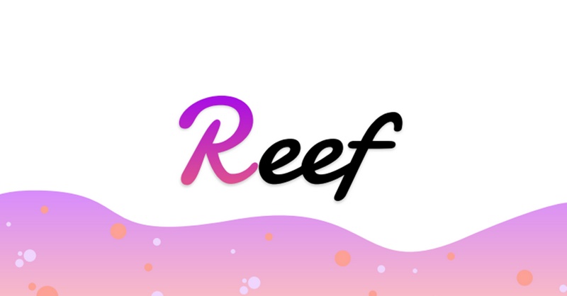 giá đồng coin reef