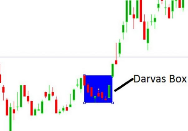 Lý thuyết hộp darvas là gì? Tìm hiểu những thông tin cơ bản