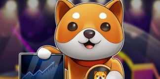 mua baby doge coin ở đâu