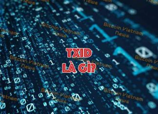 Khái niệm TxID là gì?
