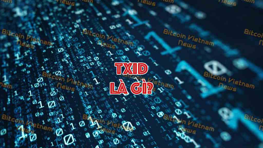 Khái niệm TxID là gì?