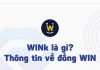 Giới thiệu về Winklink và dự án Win coin