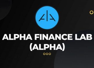 Nguồn gốc hình thành dự án.