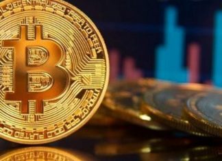Nhà đầu tư còn có thể sử dụng một cơ quan trung gian hỗ trợ cho hoạt động khai thác