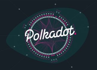Polkadot coin là? Giá polkadot coin thay đổi như thế nào Giá polkadot coin
