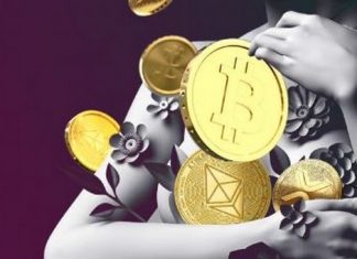 Cách hold coin là gì? Tìm hiểu những thông tin cơ bản cách hold coin
