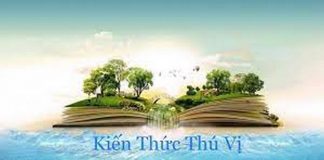 những kiến thức thú vị về thế giới