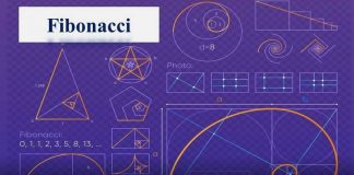 ứng dụng dãy số fibonacci