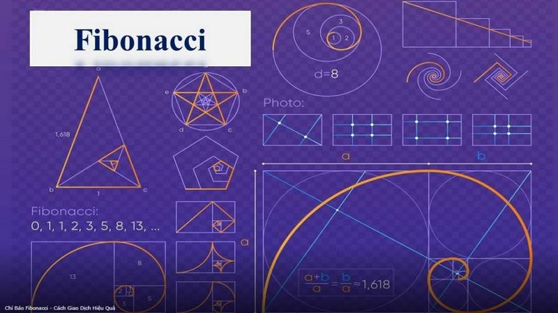 ứng dụng dãy số fibonacci