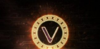 Giới thiệu về dự án Vechain coin