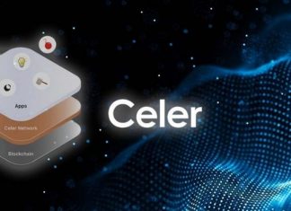 Giới thiệu về dự án Celr Network