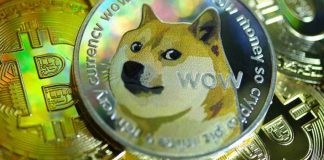 có nên mua dogecoin