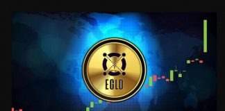 egld coin