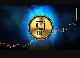 EGLD coin là gì? Phương thức hoạt động của EGLD coin egld coin