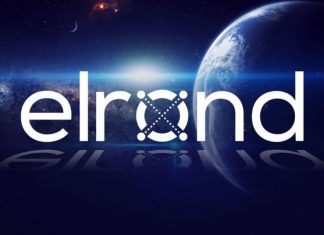 Elrond là gì? Tổng hợp thông tin về đồng điện tử EGLD Elrond