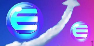 ENJ coin