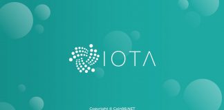 IOTA coin