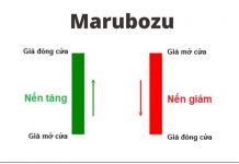 Giới thiệu Marubozu là gì và cách ứng dụng nến Marubozu