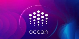 OCEAN coin