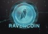 Giới thiệu về Ravencoin là gì?