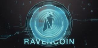 Giới thiệu về Ravencoin là gì?