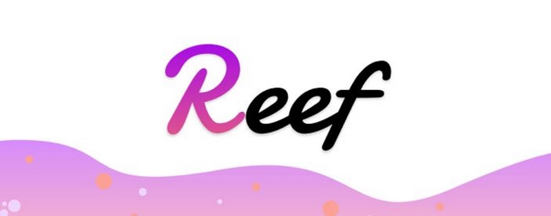 cách mua reef coin