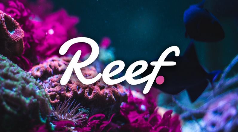 Những điểm nổi bật của dự án Reef Finance.