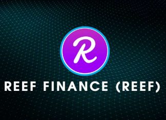 Những cách để NĐT có thể sở hữu được Reef Coin.