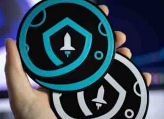 SAFEMOON coin là gì? Có nên đầu tư và giao dịch không? SAFEMOON coin là gì