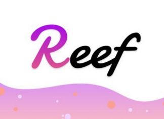 tin tức coin reef